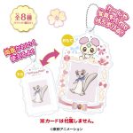 ふぉとるだぁフレッシュプリキュア！