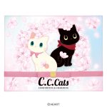 Ｃ.Ｃ.キャッツアソートＢＯＸ