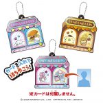 どこでもついんどぅ！ サンリオキャラクターズ