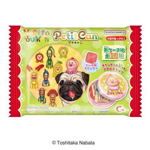 プチキャンこびとづかん