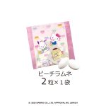 サンリオキャラクターズ マカロンケース