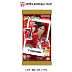 キャラポトレ バレーボール男子日本代表ー２ー