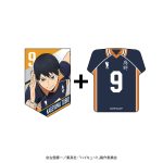ウェアコレハイキュー!!２