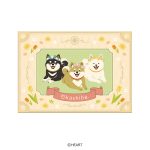 おかしばミニ巾着＆チョコギフト　～はるしば～